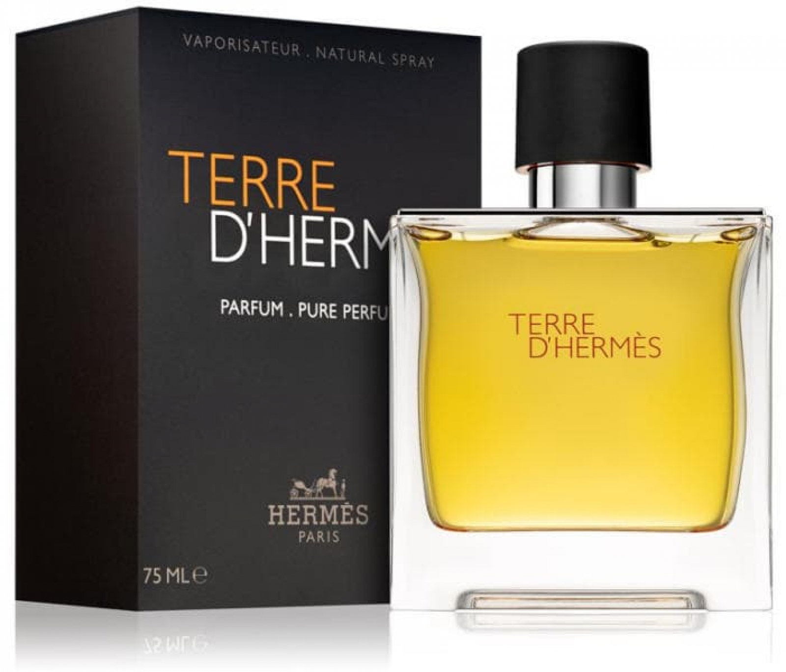 Nước hoa nam HERMES Terre d'Hermes Pure Parfum 75ml